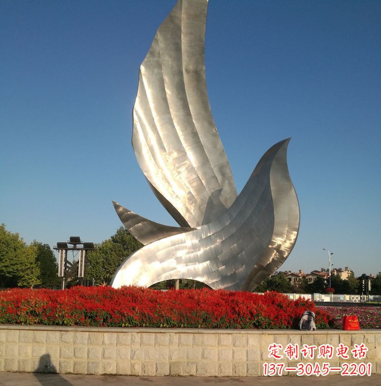 淄博“鸽子之恋”——让爱飞翔