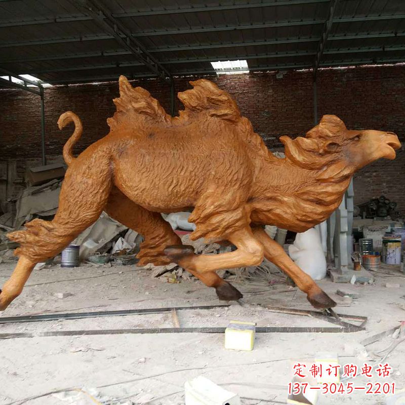 淄博活力四射的骆驼