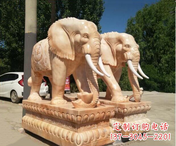 淄博大象晚霞
