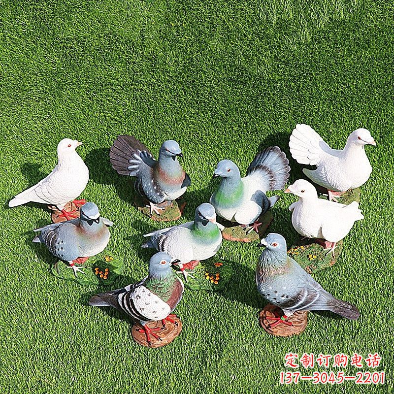 淄博和平鸽毕加索激发的美好灵感