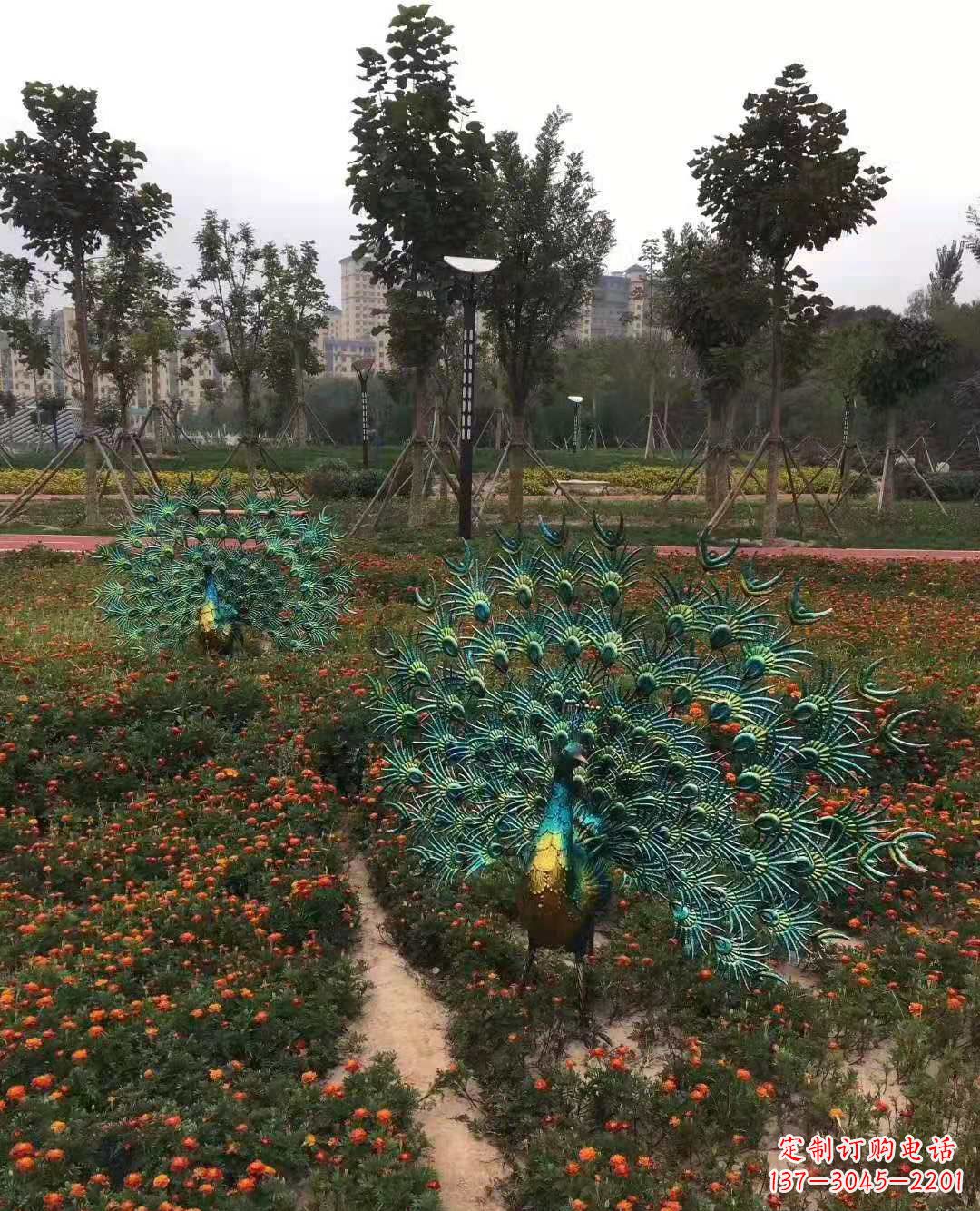 淄博不锈钢彩绘孔雀雕塑