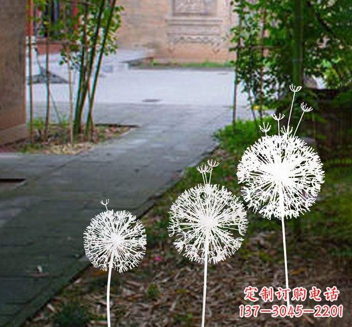 淄博不锈钢蒲公英点亮城市之美