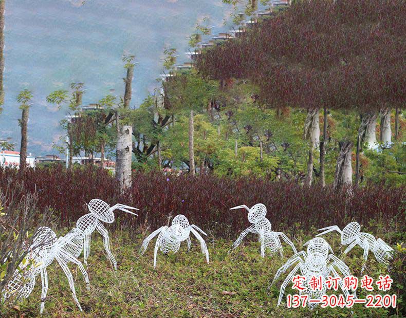 淄博不锈钢蚂蚁镂空雕塑艺术与自然的完美结合
