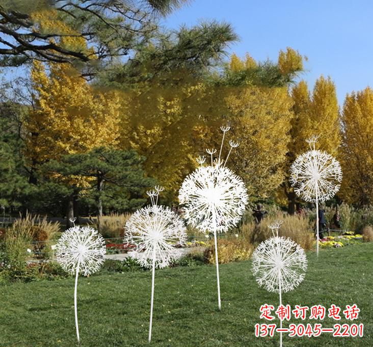淄博不锈钢蒲公英景观雕塑艺术与美的完美结合
