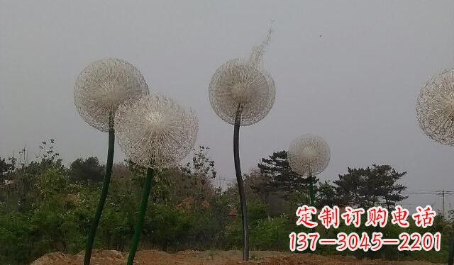 淄博蒲公英的绚丽多彩