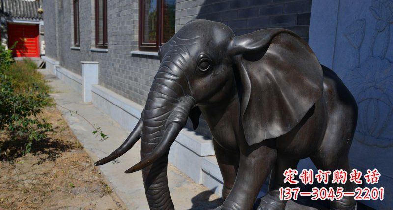 淄博大象动物铜雕 (2)