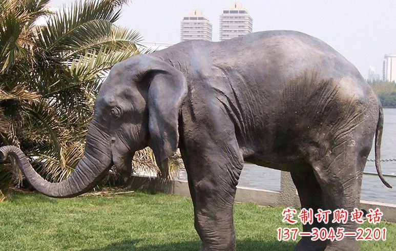 淄博高品质铜质大象雕塑