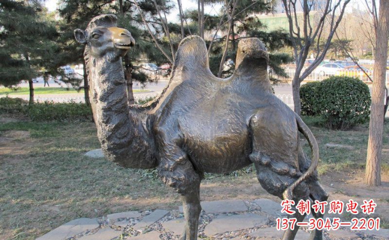 淄博铜骆驼雕塑——浓缩自然美丽