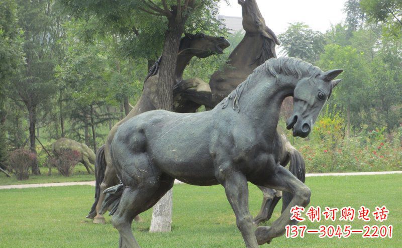 淄博公园马动物景观铜雕 (2)