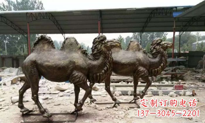 淄博典雅优美的骆驼铜雕