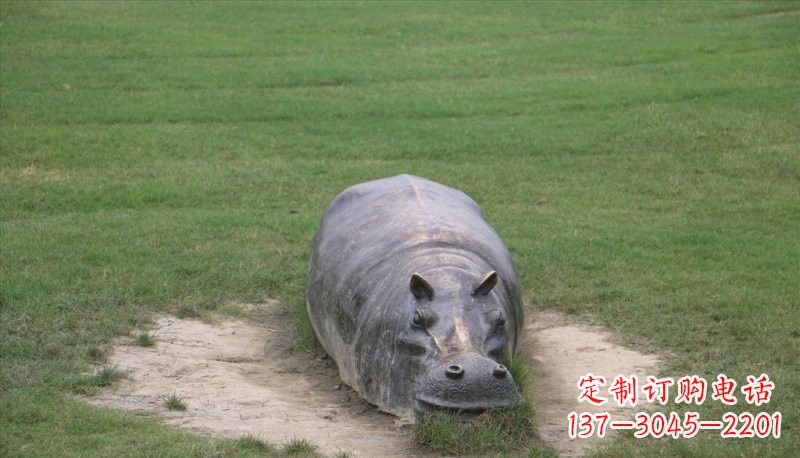 淄博铜雕趴着的河马