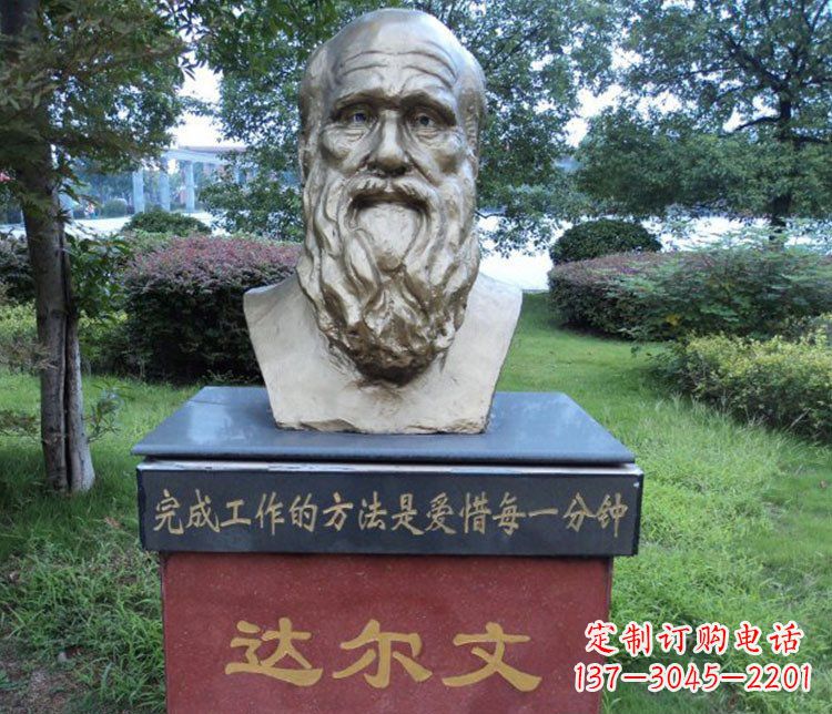 淄博铜雕校园达尔文肖像雕塑