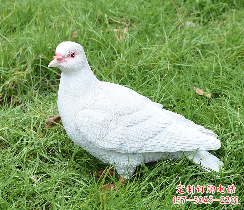 淄博潍坊和平鸽雕塑女孩