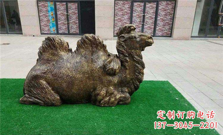 淄博卧着的骆驼动物铜雕